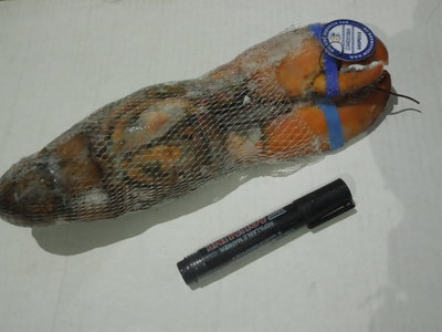 加拿大波士頓龍蝦 2014年新貨原裝進口，大連綜研水產(chǎn)直供餐飲批發(fā)