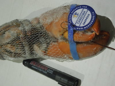 加拿大波士頓龍蝦2014年新貨 原裝進口增重，工廠直供餐飲批發(fā)