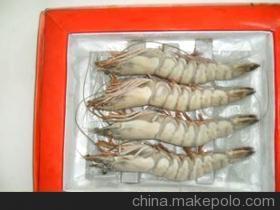 優質鮮活龍蝦與水產批發，廠家直銷保障品質