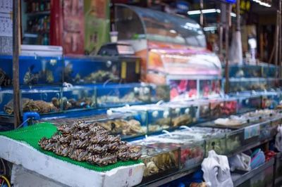 十萬(wàn)“水軍”晝夜不息的傳奇謝幕 全國(guó)最大水產(chǎn)品批發(fā)市場(chǎng)的搬遷與日用百貨銷售的轉(zhuǎn)型