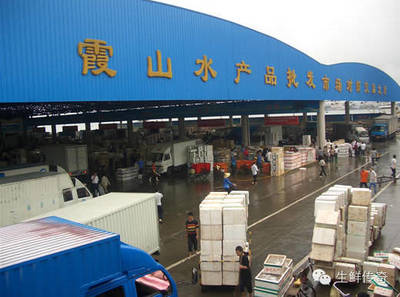 讓天下沒有難賣的魚蝦！探秘中國主要水產品批發市場