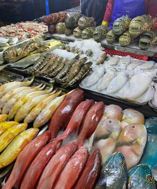 免租半年，搶占先機！博羅水西農貿綜合批發市場水產海鮮一級批發平臺盛裝啟幕