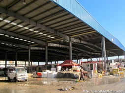 春節前的水產品農貿批發市場 年味、忙碌與希望的匯聚地