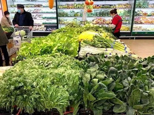 今日青島商超及批發(fā)市場(chǎng)果蔬價(jià)格走勢(shì)及日用品銷售觀察